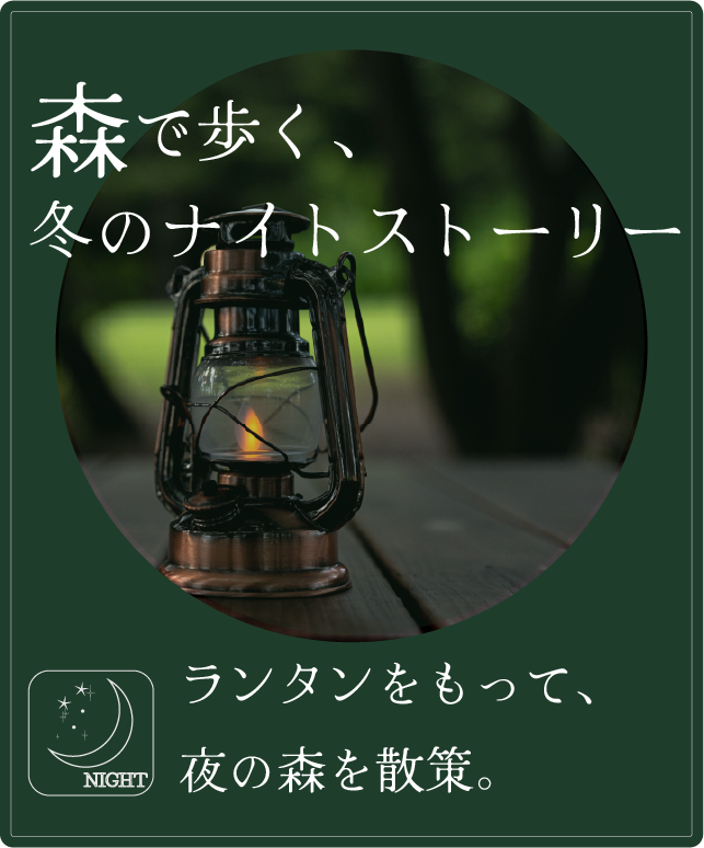 森で歩くナイトストーリー